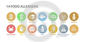 Food allergens white icons in pastel colorful circles. 14 food allergens vector circle icon set.