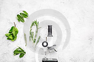 Food analysis. Pesticides free vegetables. Herbs rosemary, mint near microscope on grey background top view copy space