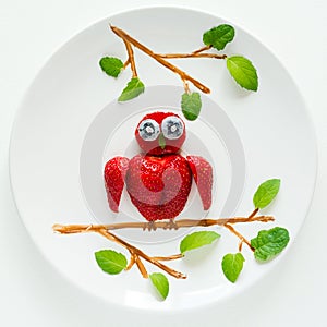 Food art creative concept. Owls sitting on a branch. Strawberry, blueberry, chocolate, mint composition.