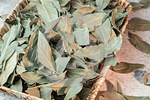 Food background. Bay leaf, natural antiseptic, antioxidant, acne remedy, macronutrients for skin and hair. Herbal