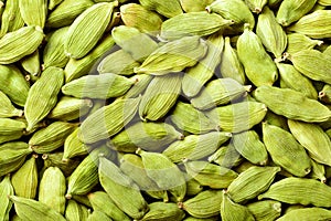 Food background of dried cardamom, top view
