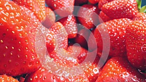 food background. extremely close up detailed bunch of strawberries on a blue background