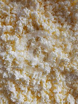 Layer of nonfat cottage cheese closeup photo