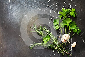 Food background. Parsley and rosemary on a dark stone table.