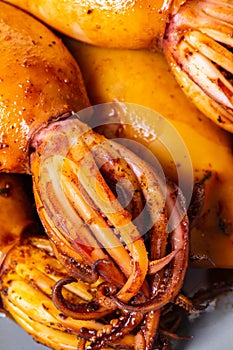Texture of cooked squid close-up
