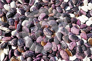 Food background texture of patterned beans