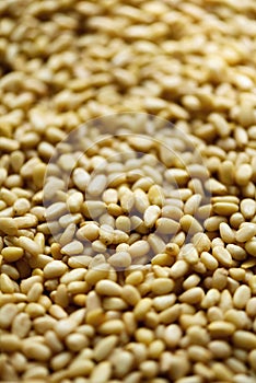 Food background. Texture of shelled organic pine nuts. Banner