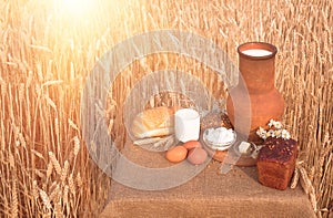 Food on the background of the wheat field