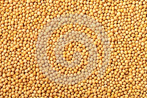 Food background of yellow mustard seeds, top view