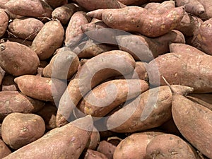Food backgrounds Grocery store produce department sweet potatoes piled up