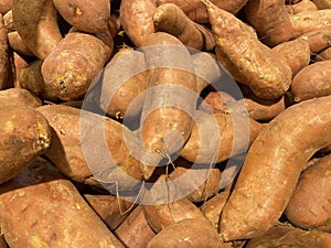 Food backgrounds Grocery store produce department sweet potatoes piled up close up