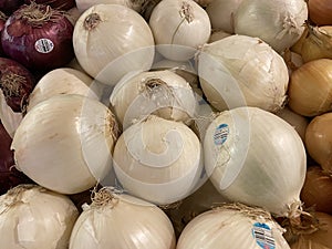 Food backgrounds Grocery store produce department white onions display