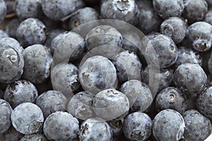 Food Backgrounds: Juicy Blueberries