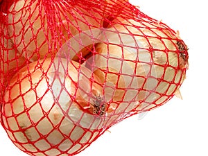 Food: Bag of Onions