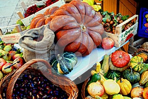 FOOD- Beautifully Colorful Fruits and Vegetables in a Market