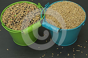 Food for birds, seed mixture