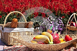 Food, bread, fruit and beverages for Picnick on Red Salvia flowers in the garden are blooming