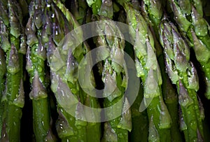 Food bright wallpaper. green asparagus, close up