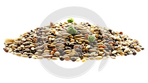 Food for canaries, parrots, finches. Mixed seeds for bird feeding isolated on white background. Food for exotic birds