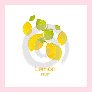 Food card with a lemon fruit. Flat design.