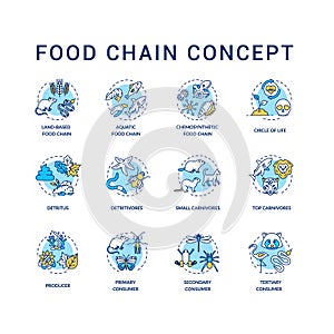 Food chain concept icons set. Primary, secondary and tertiary consumers. Small and top carnivores. Life cycle idea thin