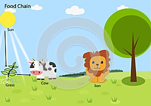 Food chain