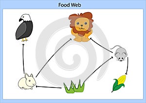 Food chain