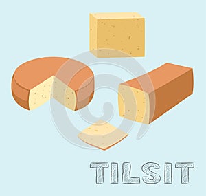 Food Cheese Type Tilsit Vector Illustration