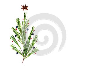 Food Christmas background with green Rosemary twigs as Christmas tree, badian as Christmas star.