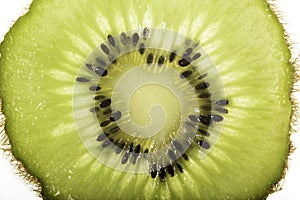 Food : Close up of a thin slice of Kiwi fruit.