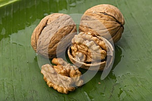 Food: Closeup of Walnut on Green Banana Leaf Background Shot in Studio