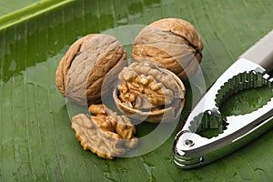 Food: Closeup of Walnut on Green Banana Leaf with Nut Cracker Background Shot in Studio