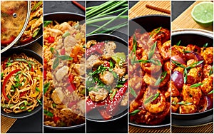 Food collage. Indian chinese cuisine dishes set. Asian Dishes Photo Collage. Schezwan dishes