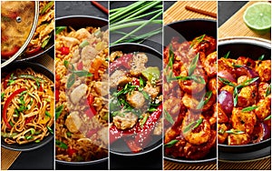 Food collage. Indian chinese cuisine dishes set. Asian Dishes Photo Collage. Schezwan dishes photo