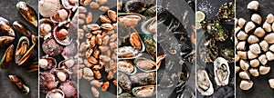 Food collage of various fresh raw kiwi mussels, scallops and clams with ice and spices on dark stone background. Creative layout