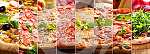 Collage of various types of pizza photo