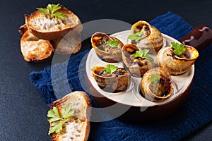 Food concept Escargots Baked French snails with Garlic butter on black slate stone background with copy space