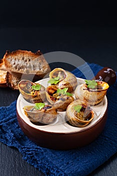 Food concept Escargots Baked French snails with Garlic butter on black slate stone background with copy space