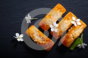 Food concept mini French almond cake financier on black slate st