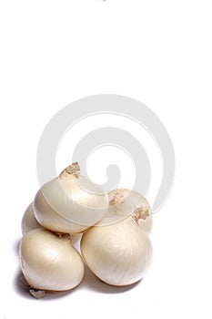 Food concept on white background, group of white onions close up