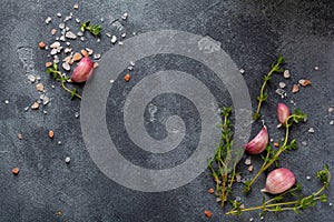 Food cooking background. Spices herbs and garlic at black slate table. Food ingredients top view