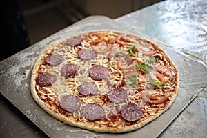 food cooking, culinary and people concept - cook or baker hand with pizza on peel at pizzeria