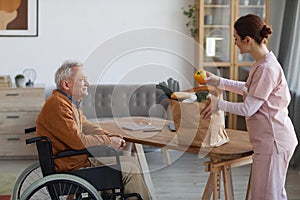 Food Deliver for Senior Wheelchair User Side View