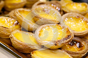 Food, desert, pastel de nata, photo