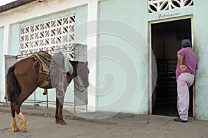 Food distribution centre CUBA