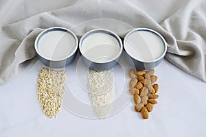 Food and drink, health care, diet and nutrition concept. Assortment of organic vegan non dairy milk from nuts, oatmeal, rice, in