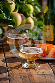 Food and drink pairing, apple cider produced on organic farm from bio apples in Normandy, France and cheddar cheese from England