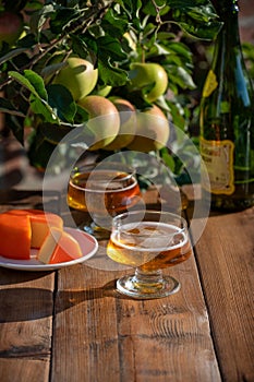 Food and drink pairing, apple cider produced on organic farm from bio apples in Normandy, France and cheddar cheese from England