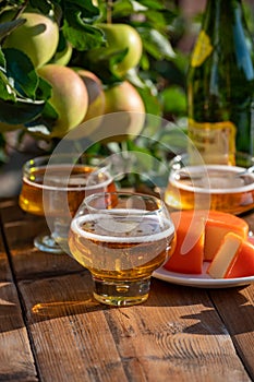 Food and drink pairing, apple cider produced on organic farm from bio apples in Normandy, France and cheddar cheese from England