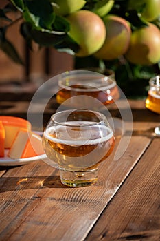 Food and drink pairing, apple cider produced on organic farm from bio apples in Normandy, France and cheddar cheese from England